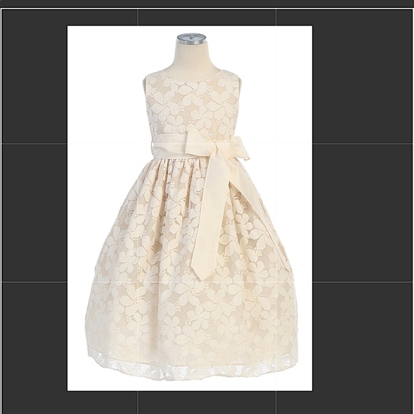 Precious Lace Flower Girl Cream Size 8 Dress🌸 New Never Worn - Picture 7 of 7